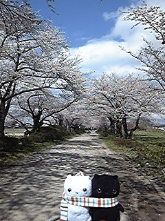 img20090418_1.jpg