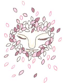 sakura.jpg