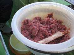 img20081205_6.jpg