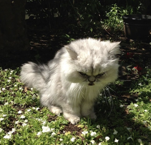 スクリーンショット 2021-12-06 10.13.49