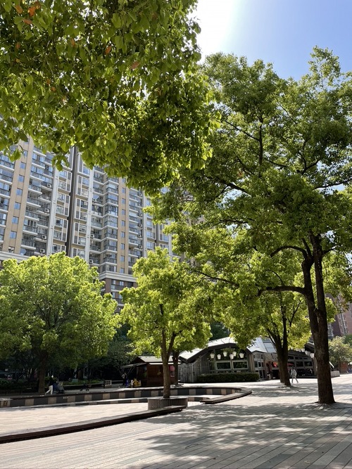 6A579069-67B3-473D-A065-074EE00CFD0F_1_105_c