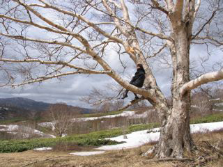 img20090420.jpg