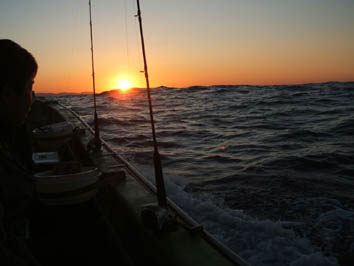 img20081205.jpg