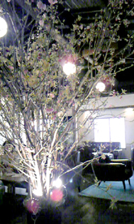 img20090404_1.jpg