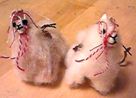 alpaca2.jpg
