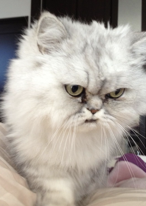 スクリーンショット 2021-12-06 10.13.56