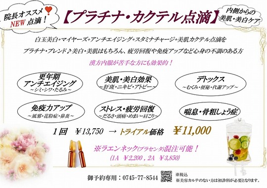 プラチナカクテル点滴トライアル価格 税込.2025pdf-1