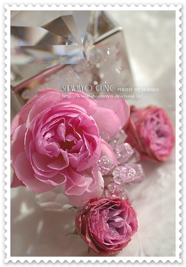 dsc_4002h_500cl_stamp.jpg