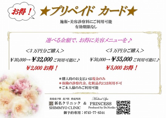 プリペイドカード 説明ポップ 2024