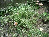 060616_160.jpg