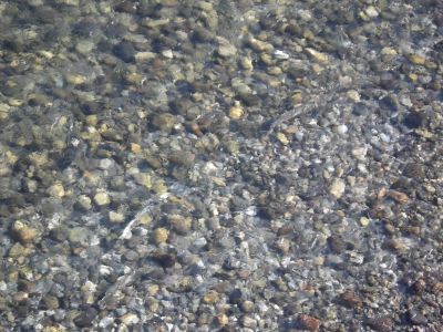 IMGP0171_400