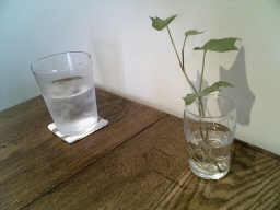 img20070906_1.jpg