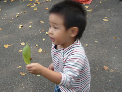 p1000309.jpg