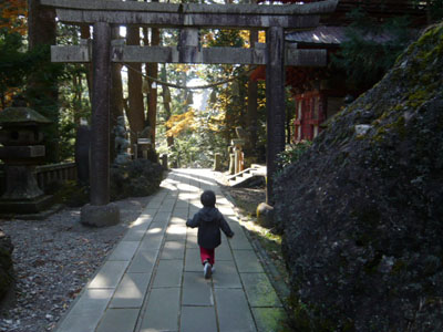 p1000830.jpg