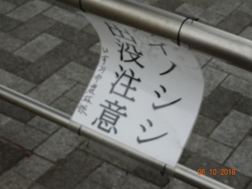 DSC02446