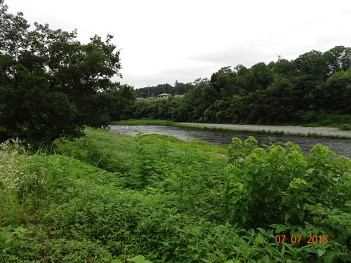 DSC02804