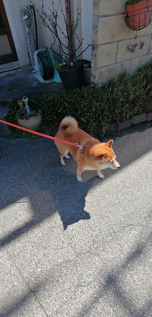 IMG_20200320_130035