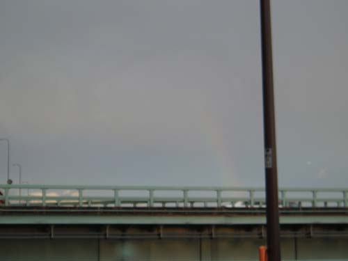 P5200055_1.jpg