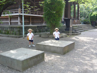 p1020707-1.jpg