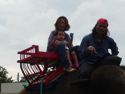 p1040300.jpg