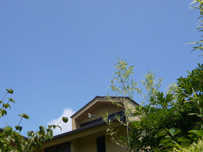 p1030615.jpg
