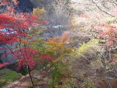 p1000854.jpg