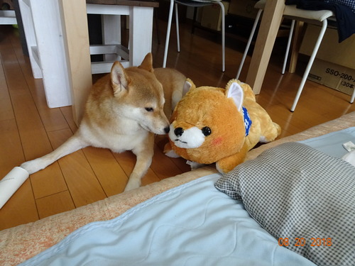 DSC03064