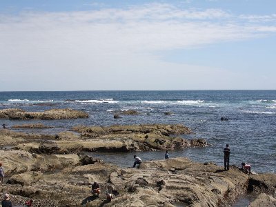 img_0702.jpg