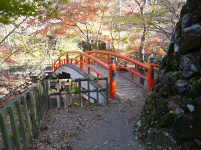 p1000852.jpg