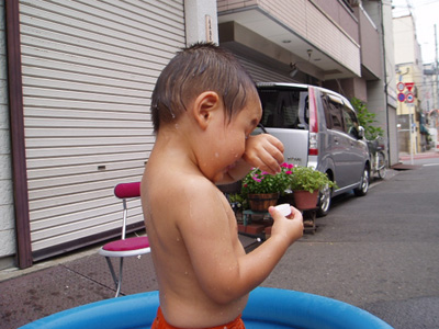 p8130547.jpg