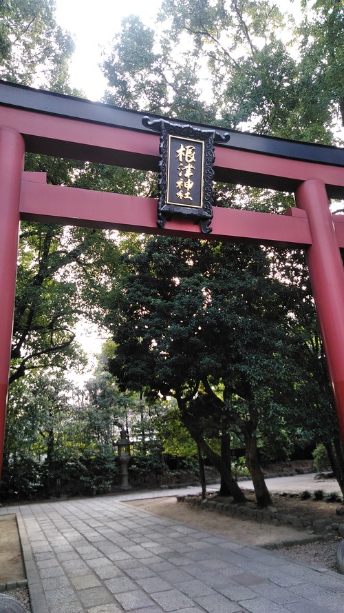 KIMG0961