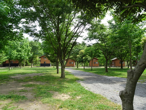 DSC01076