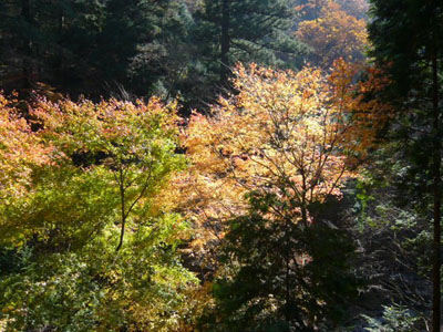 p1000777.jpg