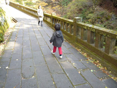 p1000769.jpg