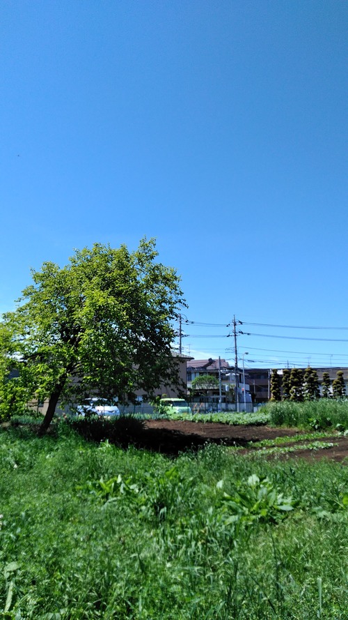 KIMG1422