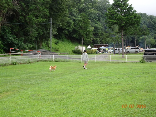 DSC02801