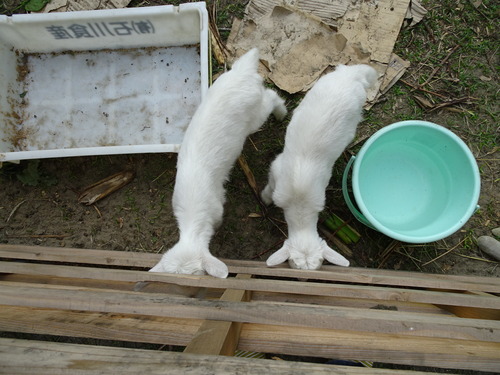 DSC01118