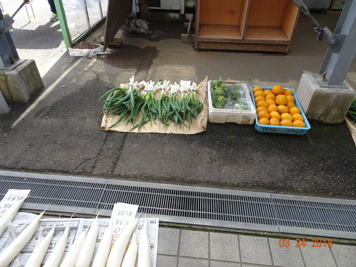 DSC02065