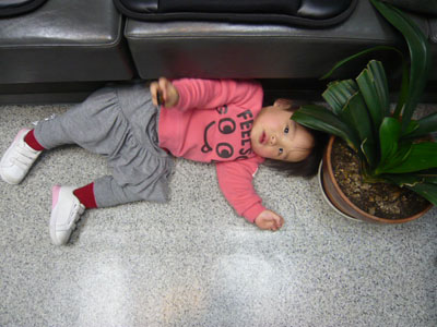 p1010785.jpg