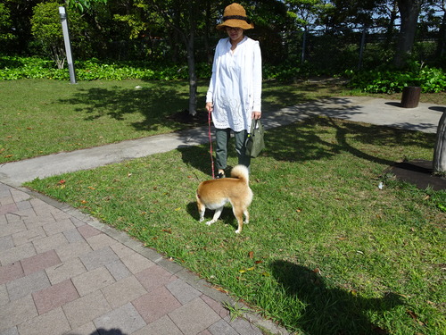 DSC00585