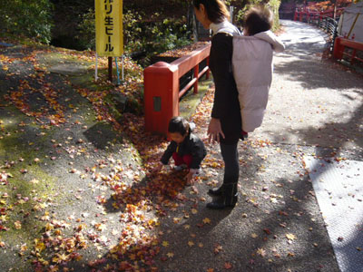 p1000855_1.jpg