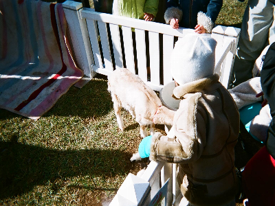 26250022.bmp