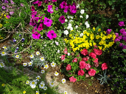 DSC00707