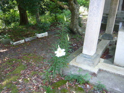 p1030426.jpg