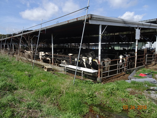 DSC02059