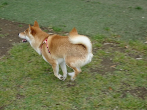 DSC00623