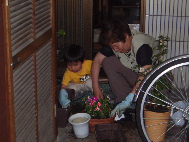 p5270291.jpg