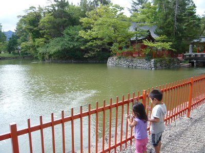 p1070560.jpg