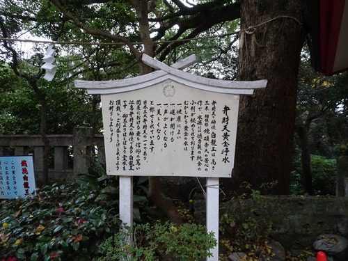 DSC00040