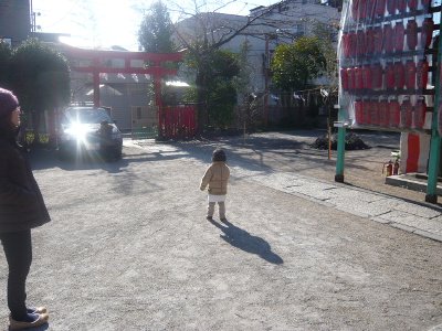 p1040883.jpg